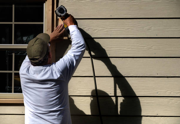 Best Steel Siding Installation  in Colona, IL