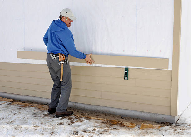 Best Aluminum Siding Installation  in Colona, IL