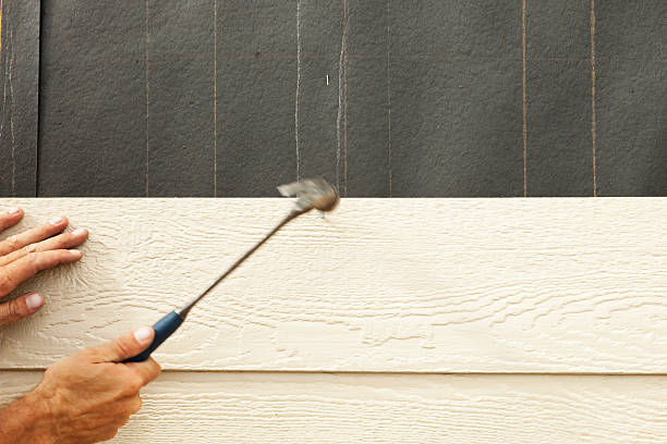 Reliable Colona, IL Siding Solutions